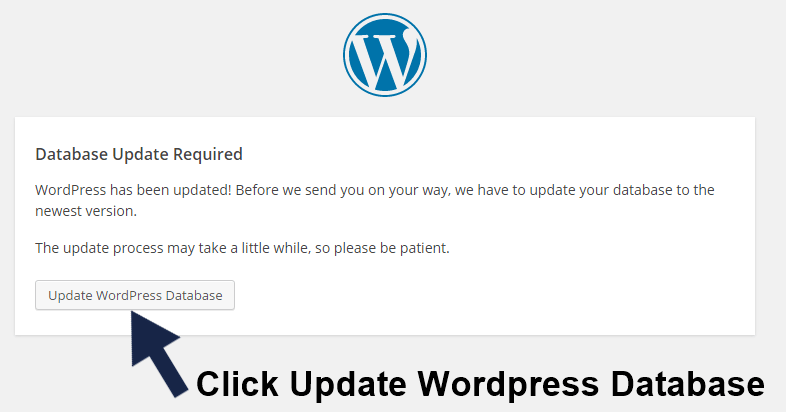 update wordpress database