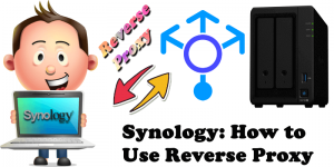 synology vpn plus reverse proxy