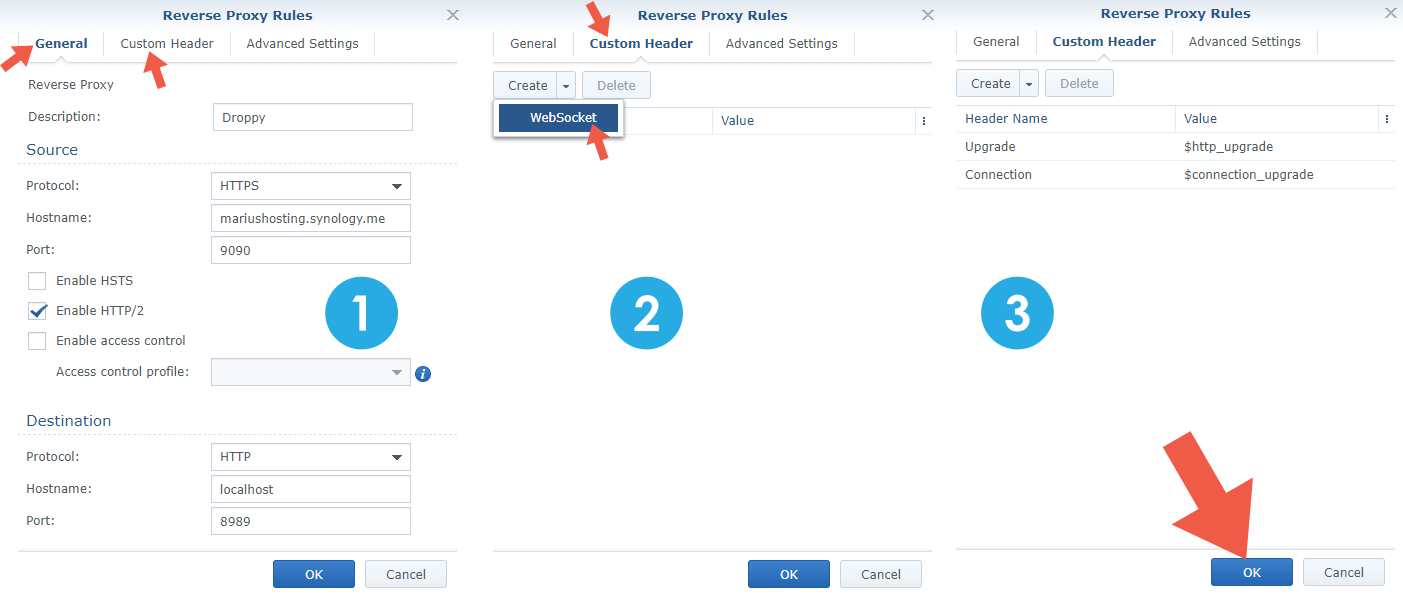 2 Synology NAS Droppy setup HTTPS SSL