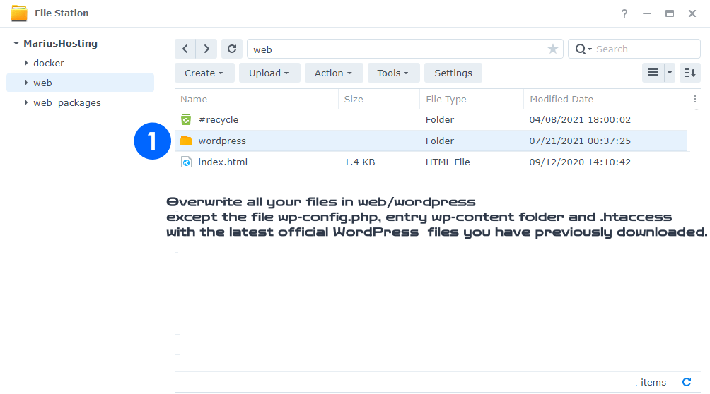 Overwrite web wordpress folder