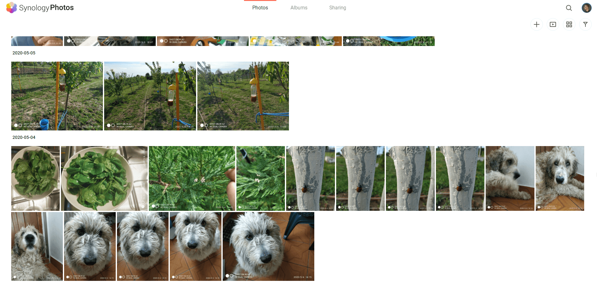 9 Switch From Google Photos to Synology Photos