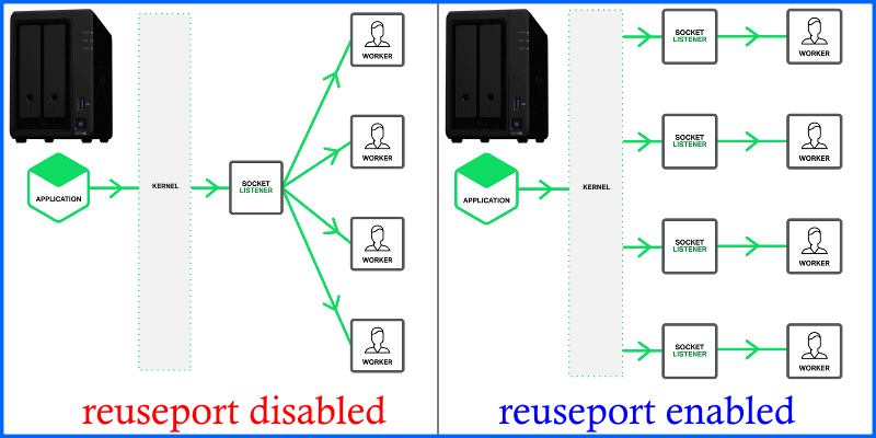 disabled reuseport enabled reuseport Synology DSM 7