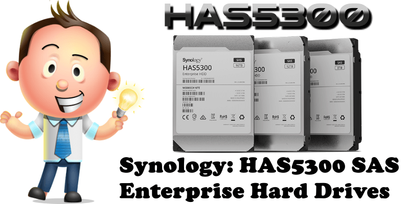 Synology HAS5300 SAS Enterprise Hard Drives