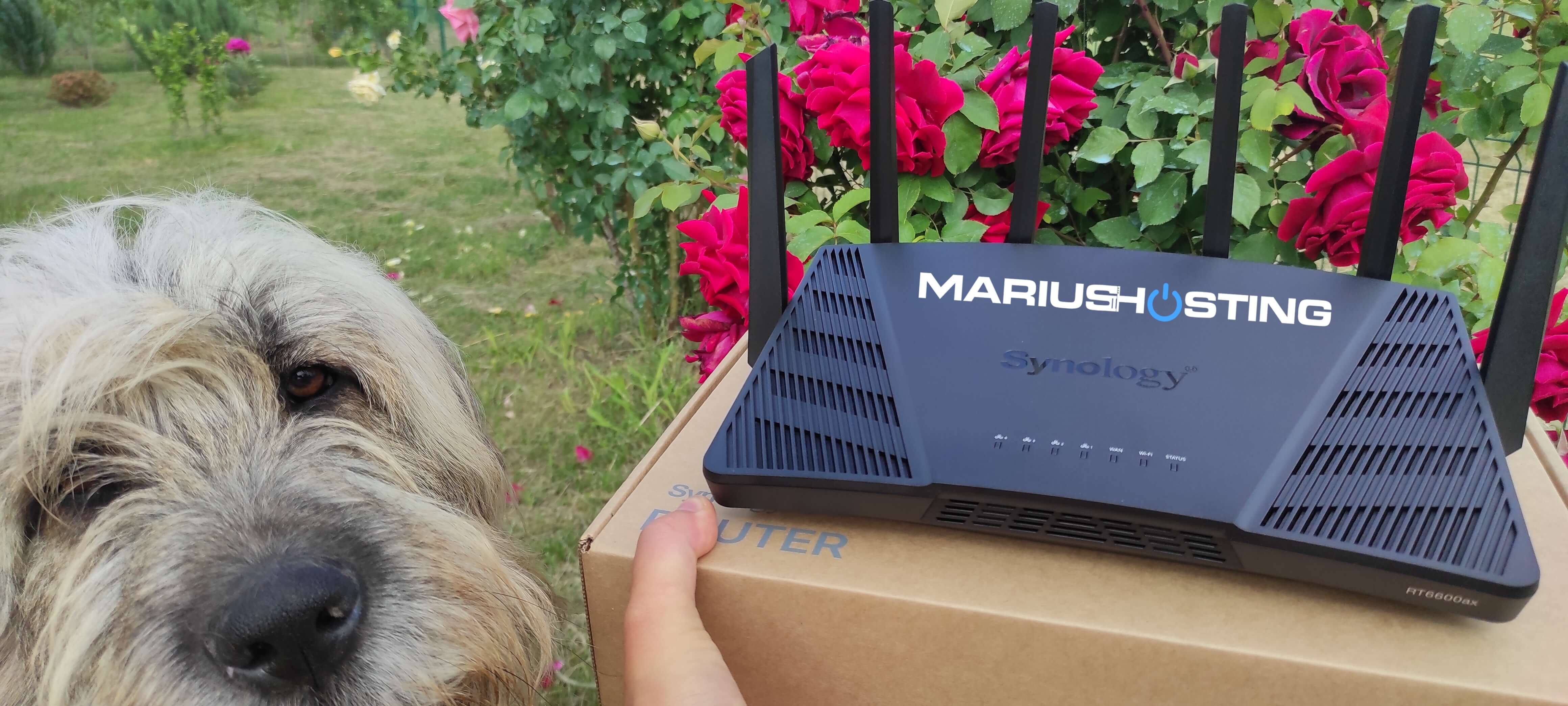 https://mariushosting.com/wp-content/uploads/2022/05/Synology-RT6600ax-mariushosting-review-1.jpg