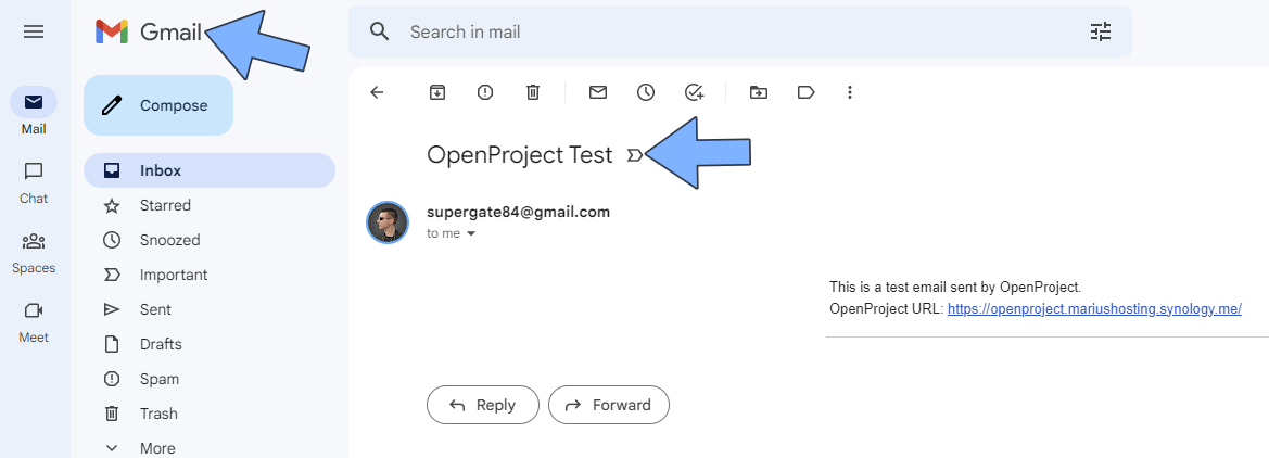 Synology OpenProject SMTP Email Notification Setup 6