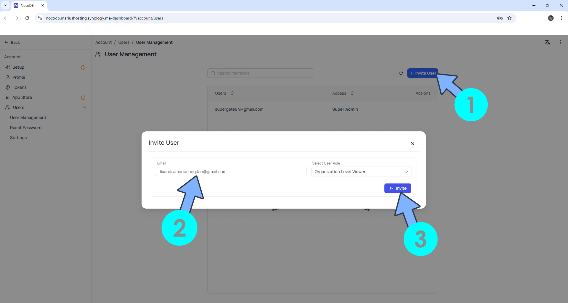 NocoDB Synology NAS Set up 17 new 2026