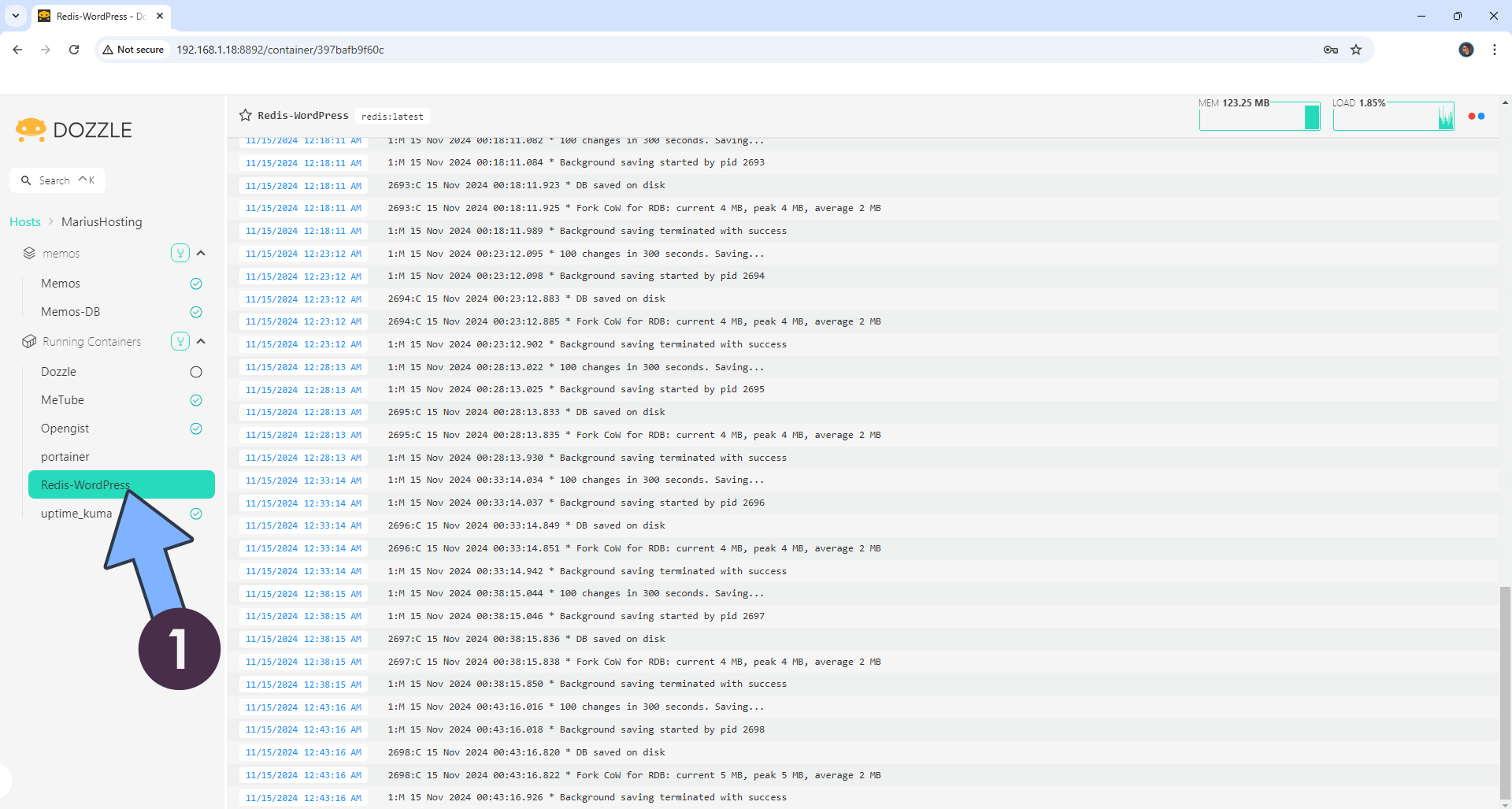 Dozzle Synology NAS Set up 9 new 2026