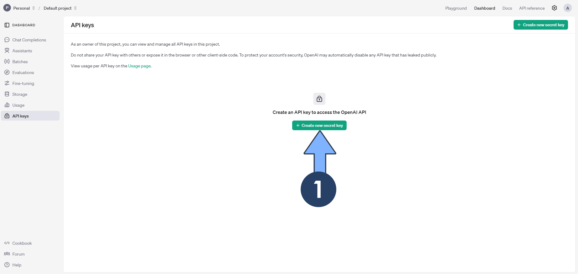 OpenAI Key 1 Synology 2025