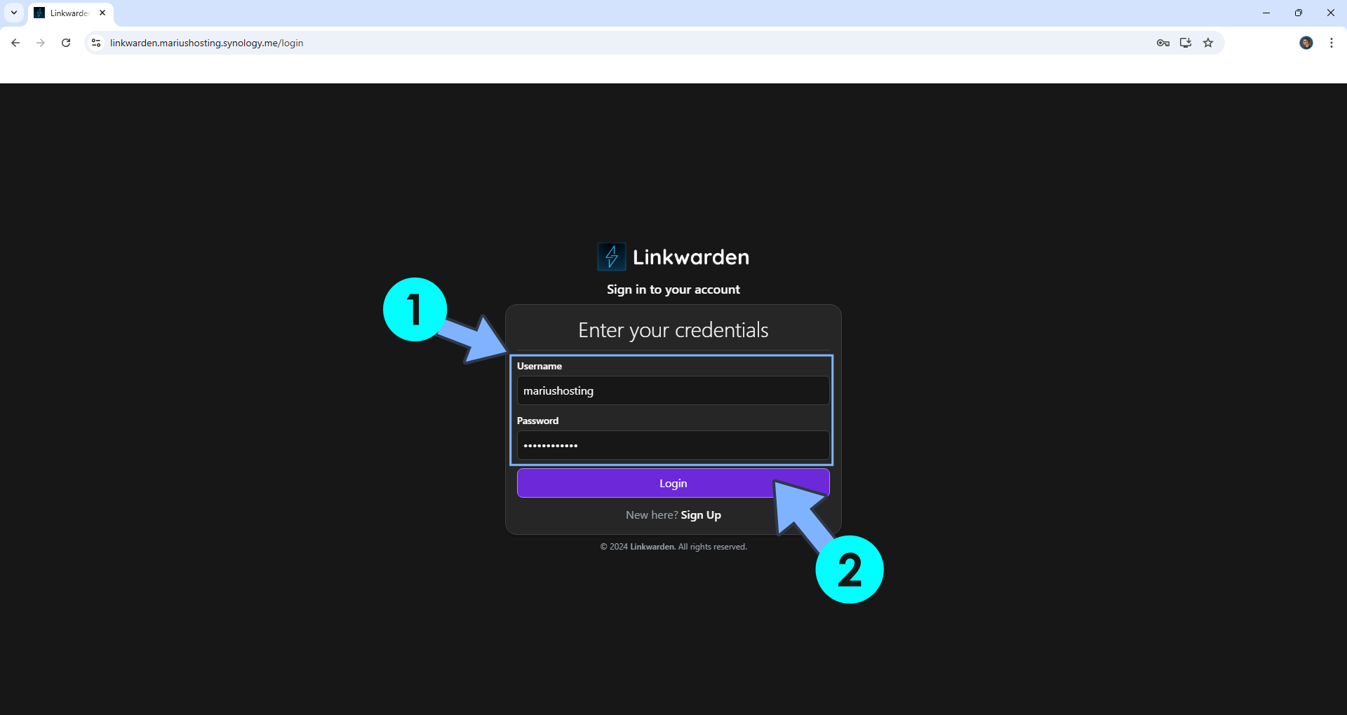 Linkwarden Synology NAS Set up 13 new 2024