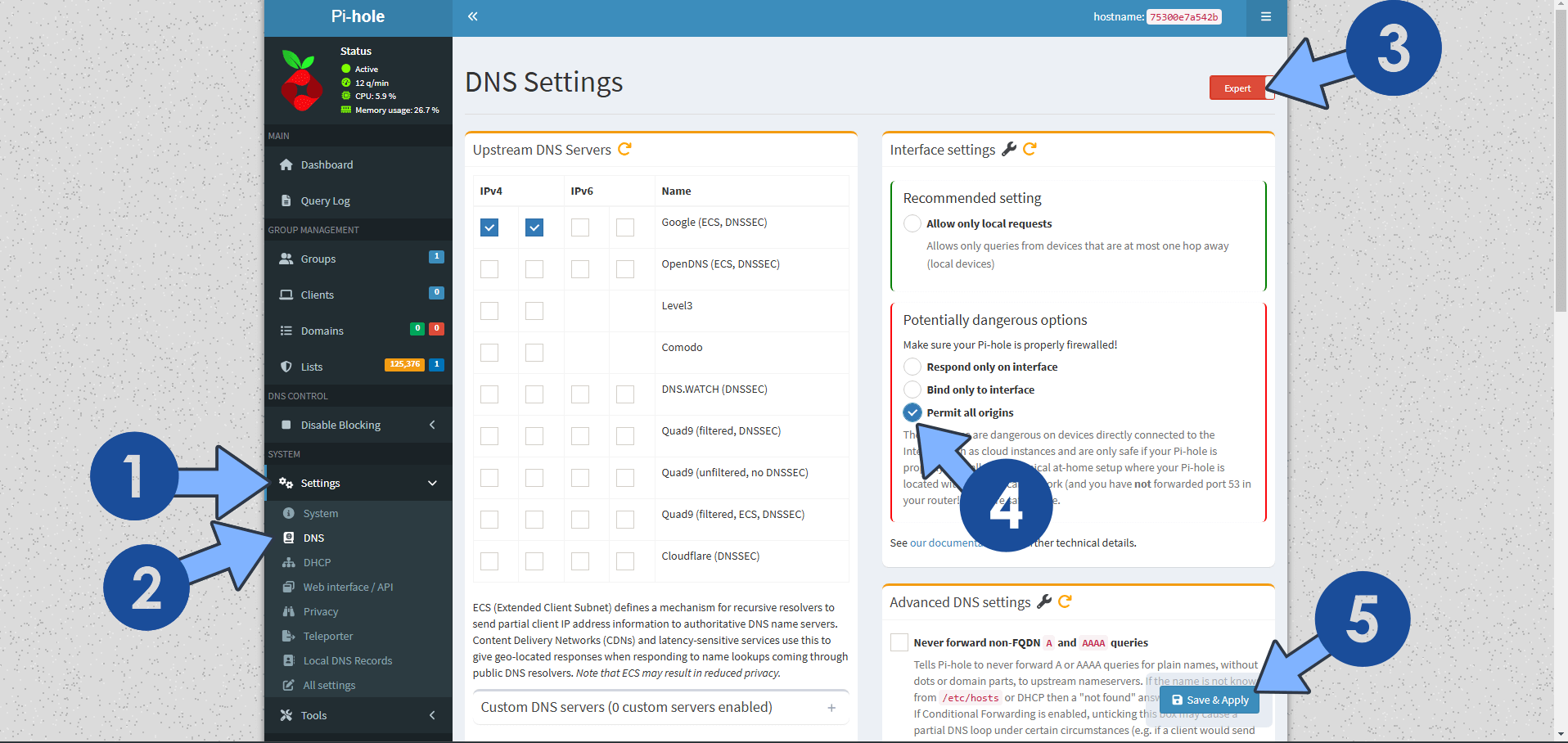 Pi-hole Synology NAS Portainer Set up 8 new 2026