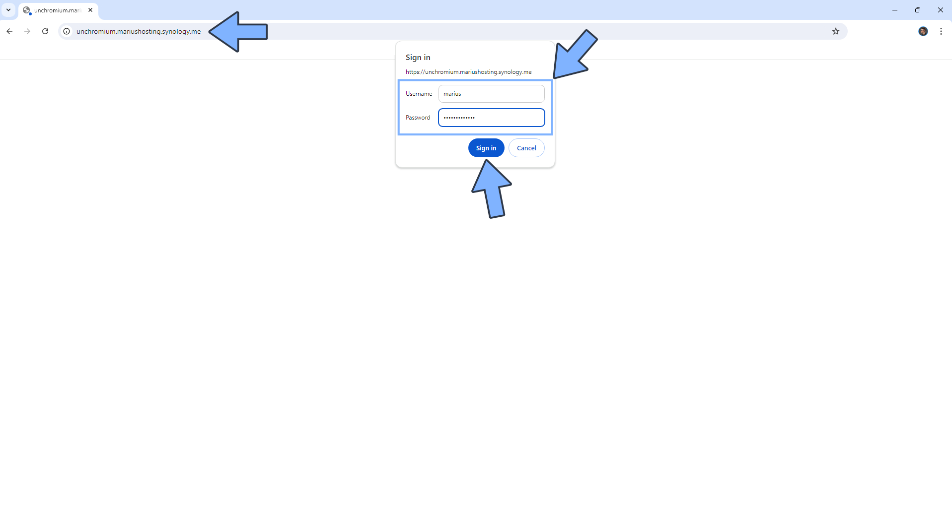 Ungoogled Chromium Synology NAS Set up 10