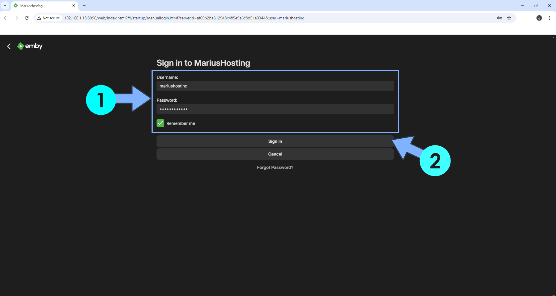 Emby Synology NAS Set up 18