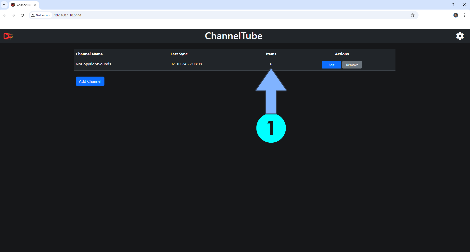 ChannelTube Synology NAS Set up 15