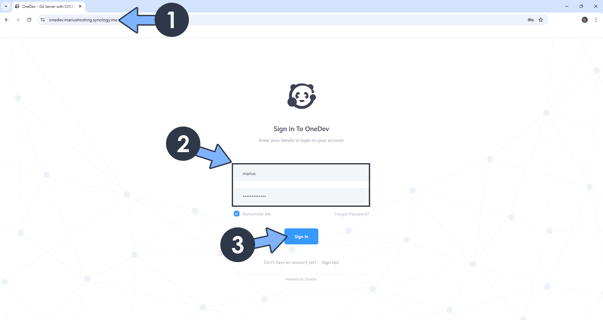 OneDev Synology NAS Set up 10