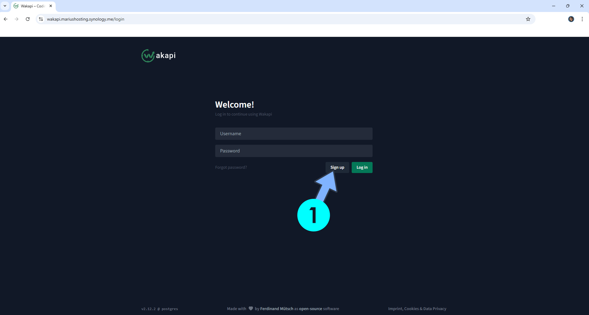 Wakapi Synology NAS Set up 12