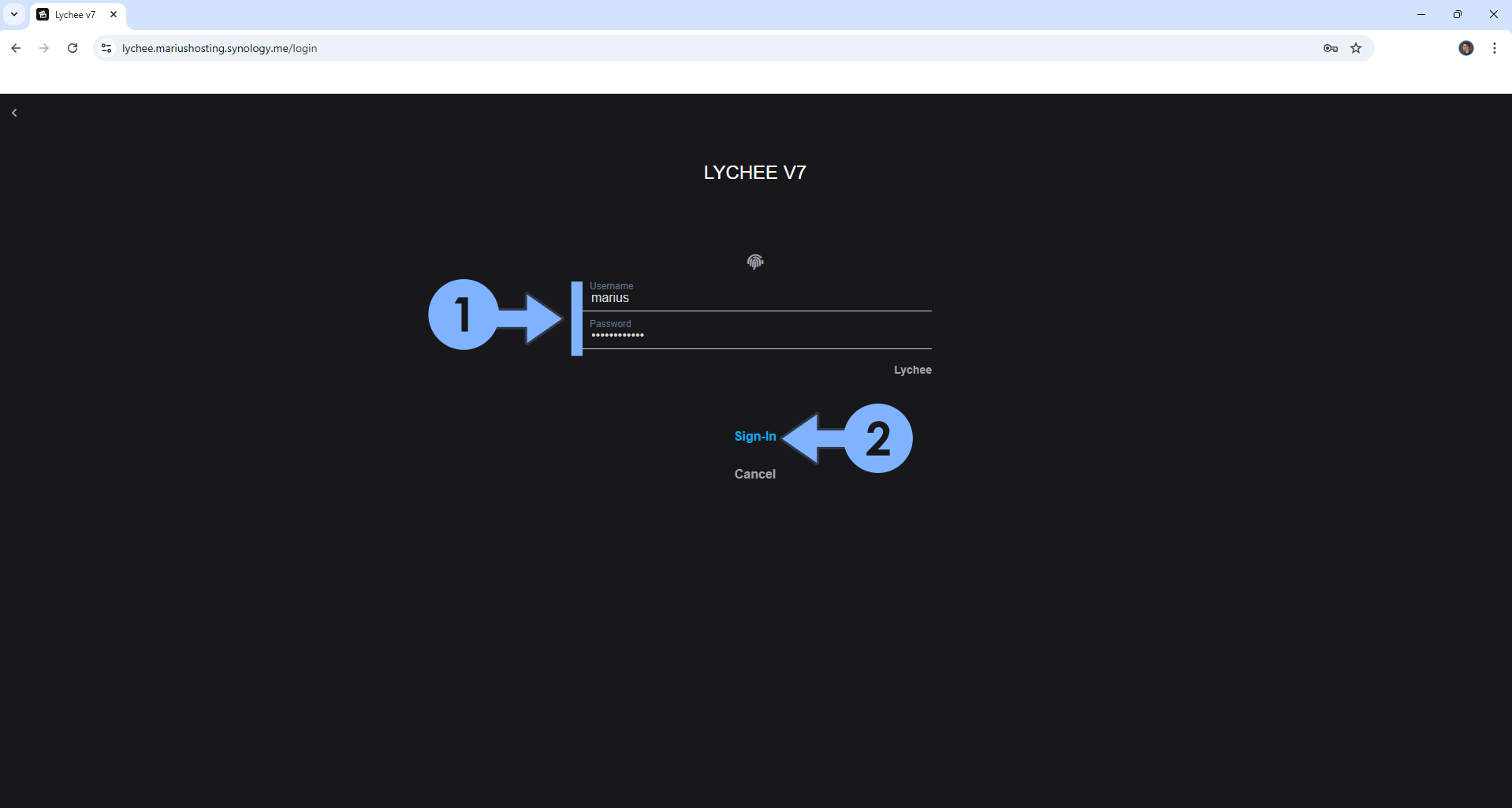 Lychee Synology NAS Set up 12 new 2030