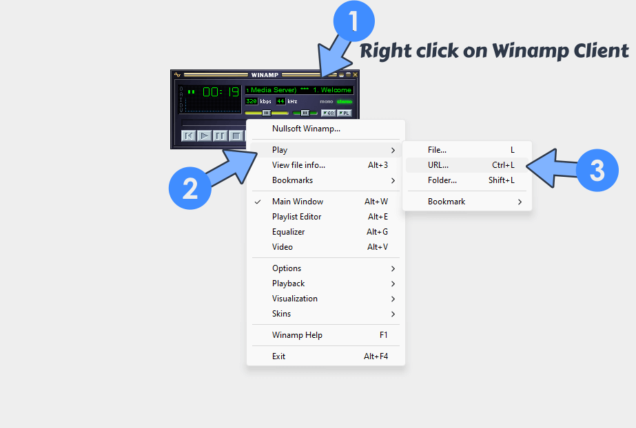 Lyrion Music Server Synology NAS Set up 12