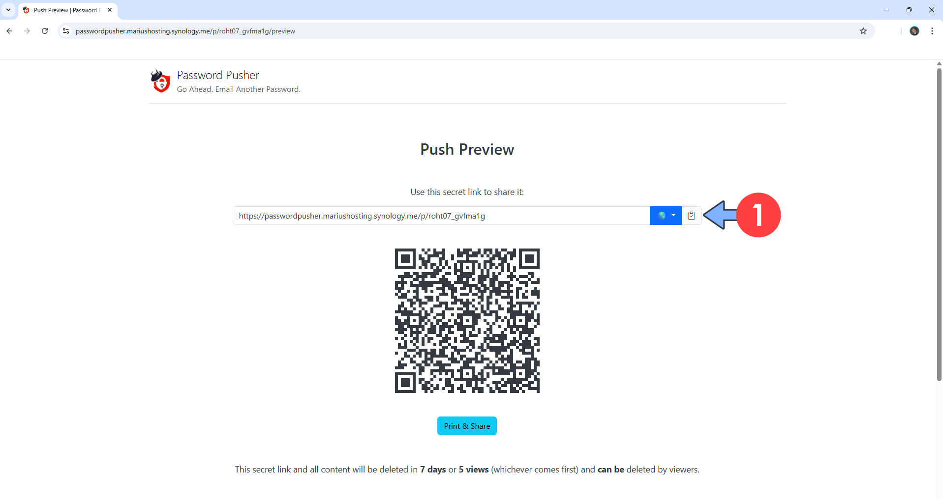 Password Pusher Synology NAS Set up 11 new 2028