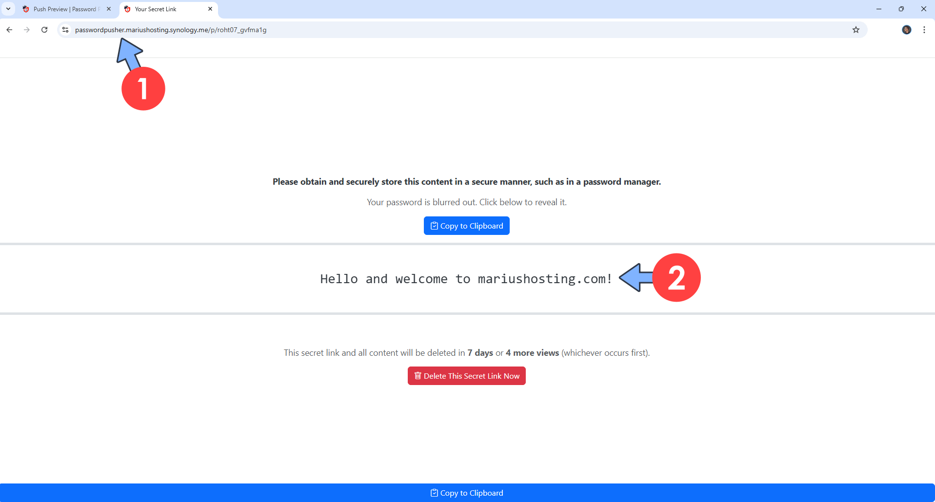 Password Pusher Synology NAS Set up 12 new 2028
