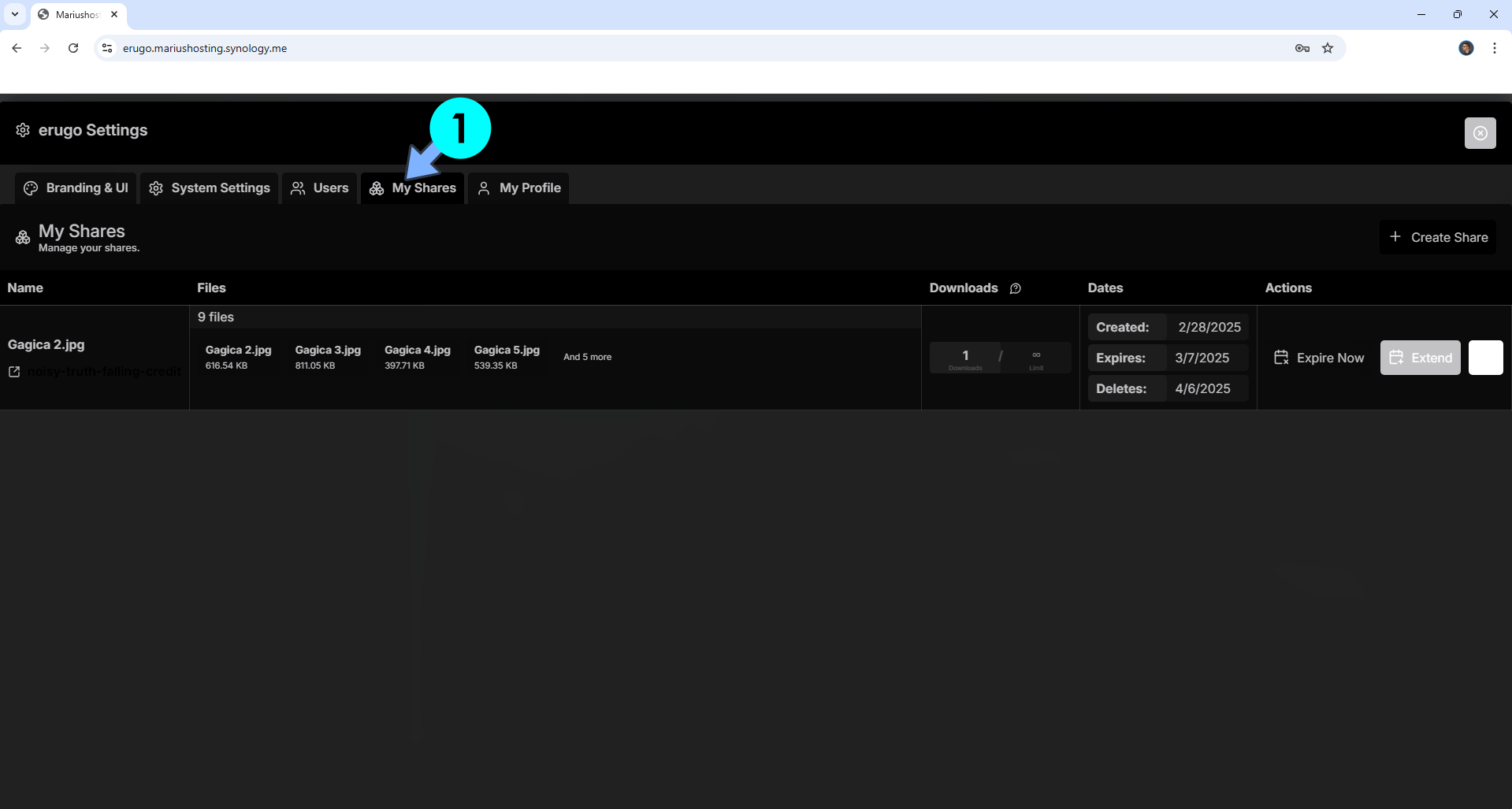 Erugo Synology NAS Set up 17