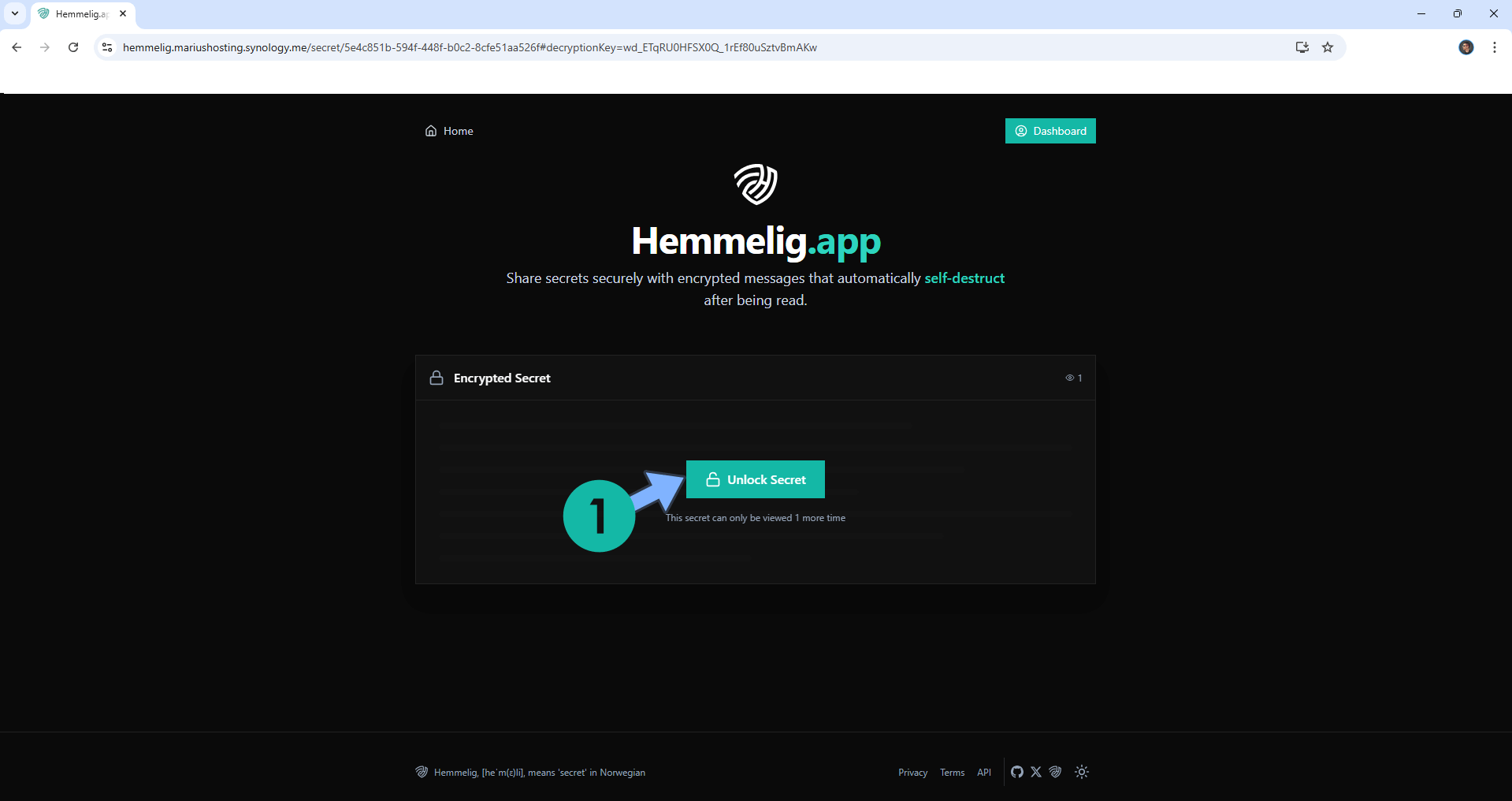 Hemmelig 7 Synology NAS Set up 14