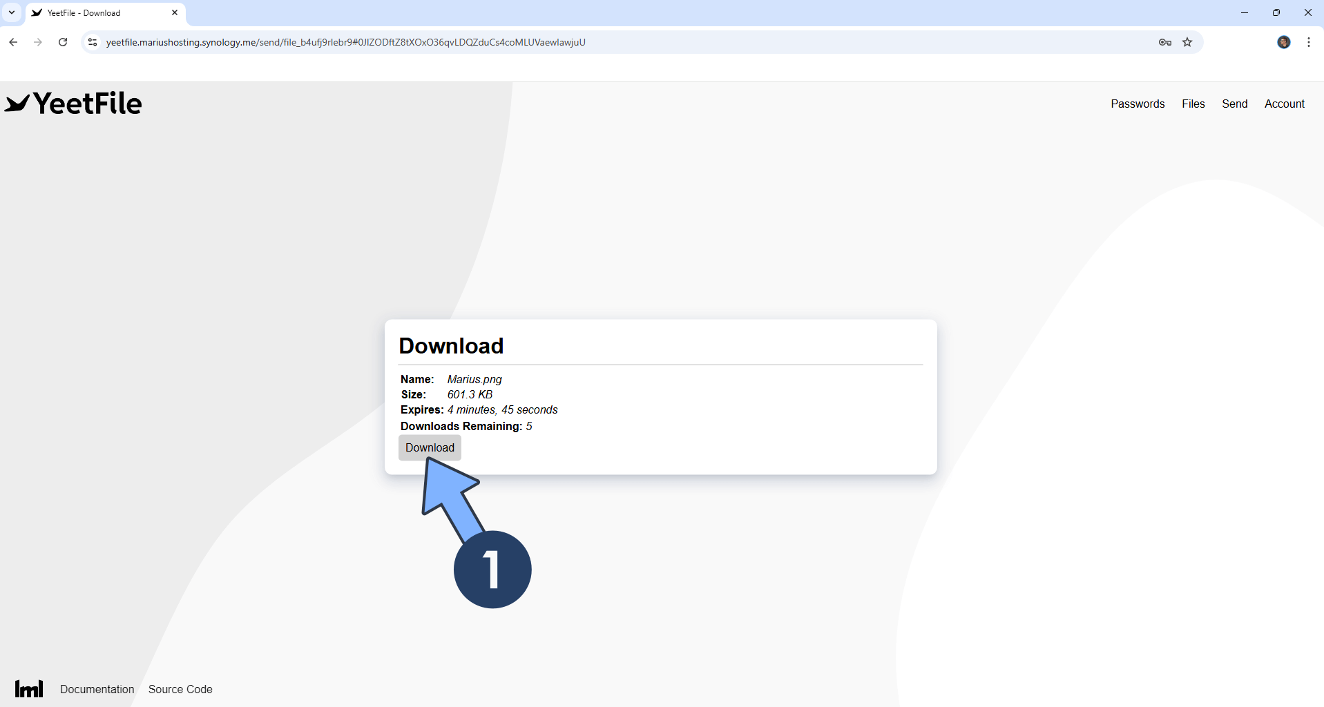 YeetFile Synology NAS Set up 18