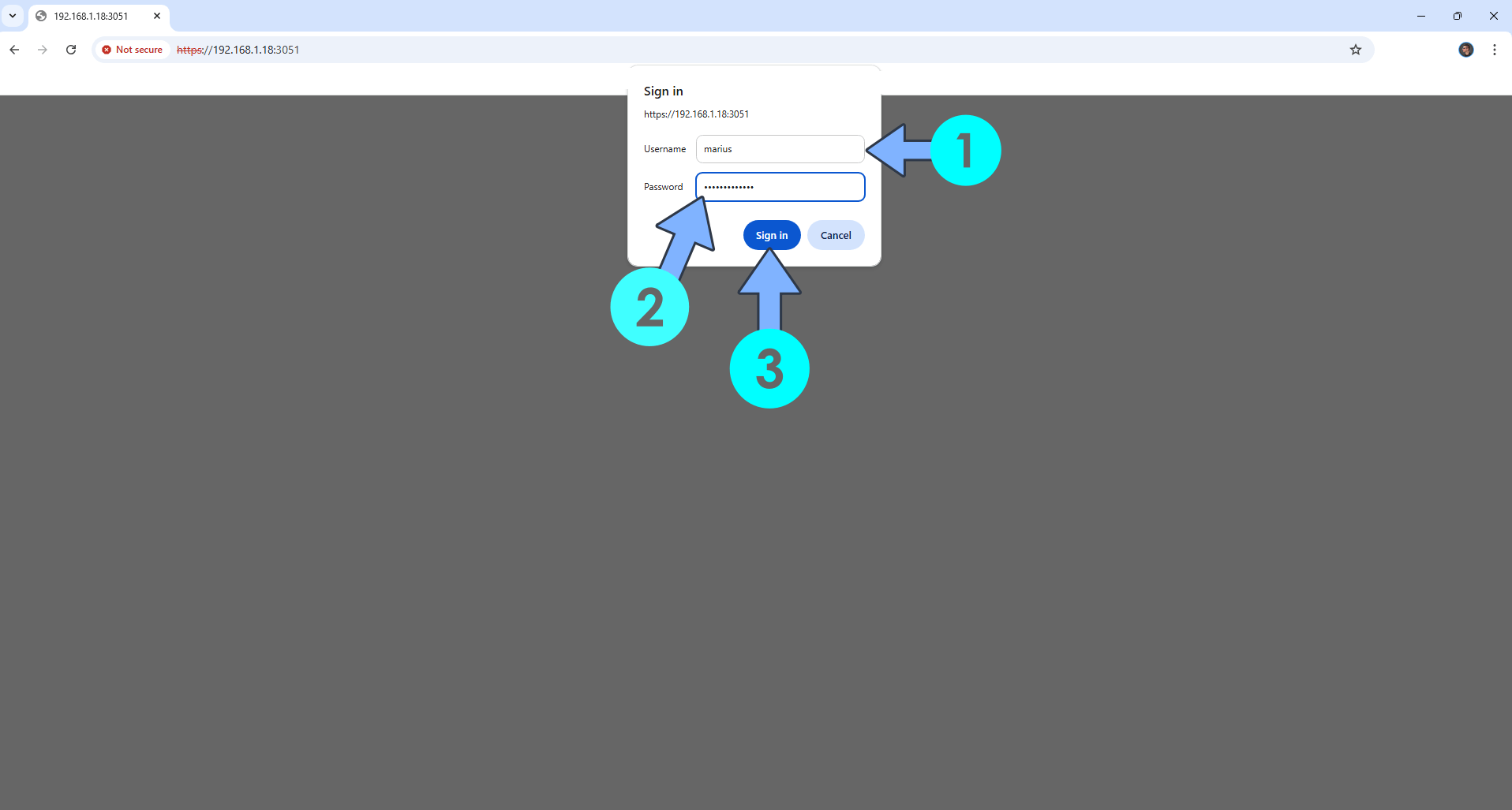Synology Install digiKam with Portainer 7 new 2026