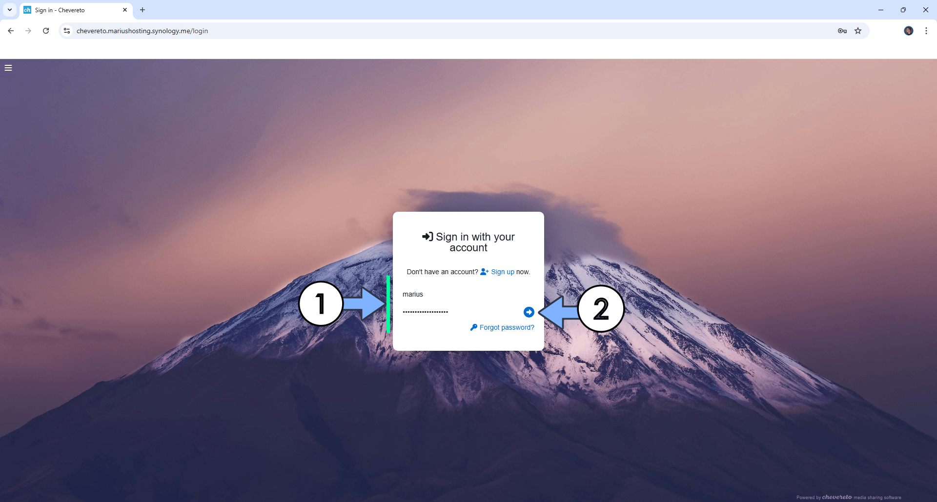 Chevereto Synology NAS Set up 19 new 2028
