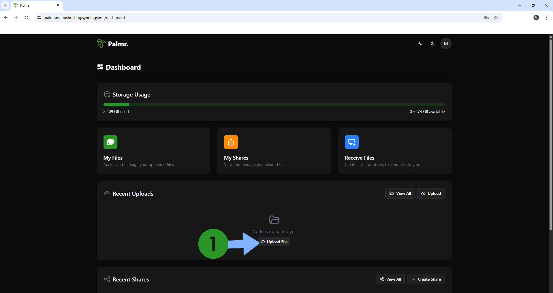 Palmr Synology NAS Set up 13