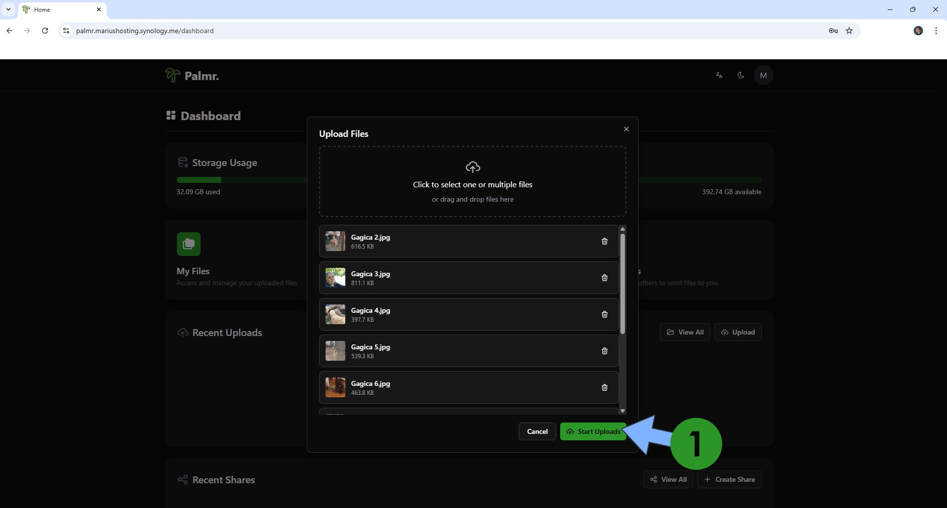 Palmr Synology NAS Set up 15