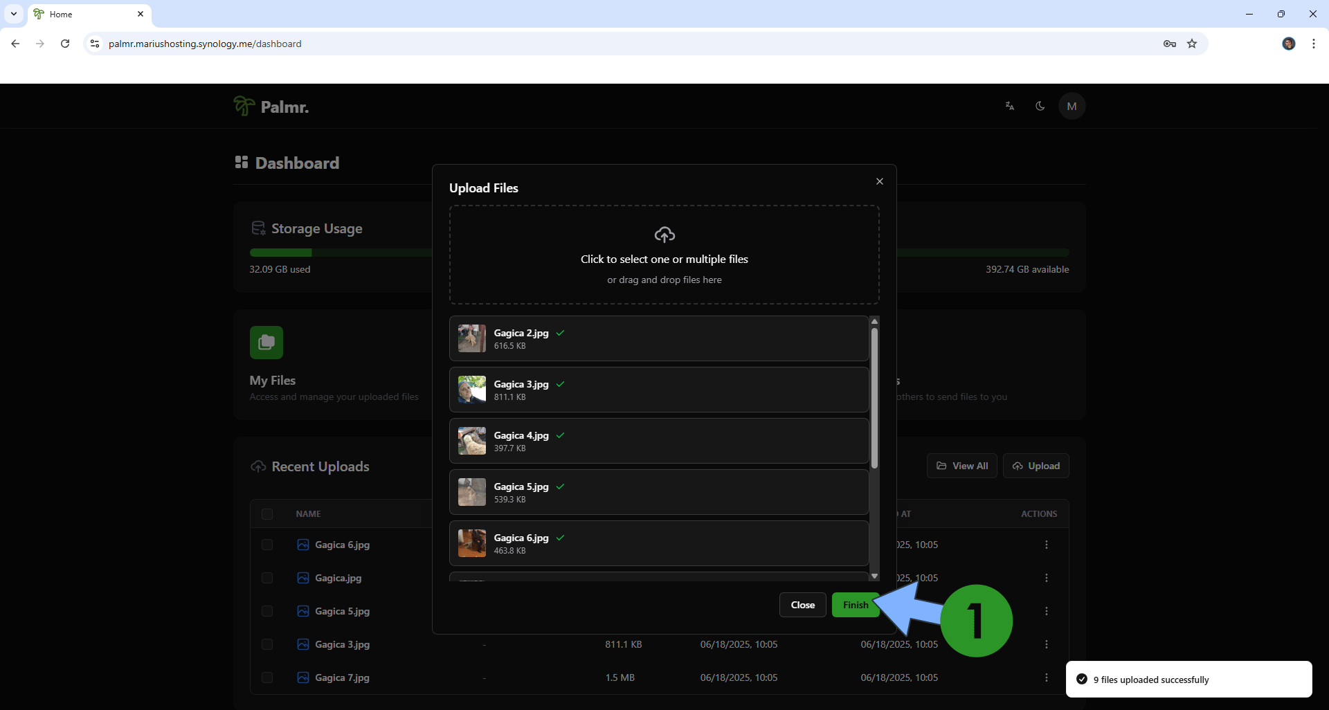 Palmr Synology NAS Set up 16