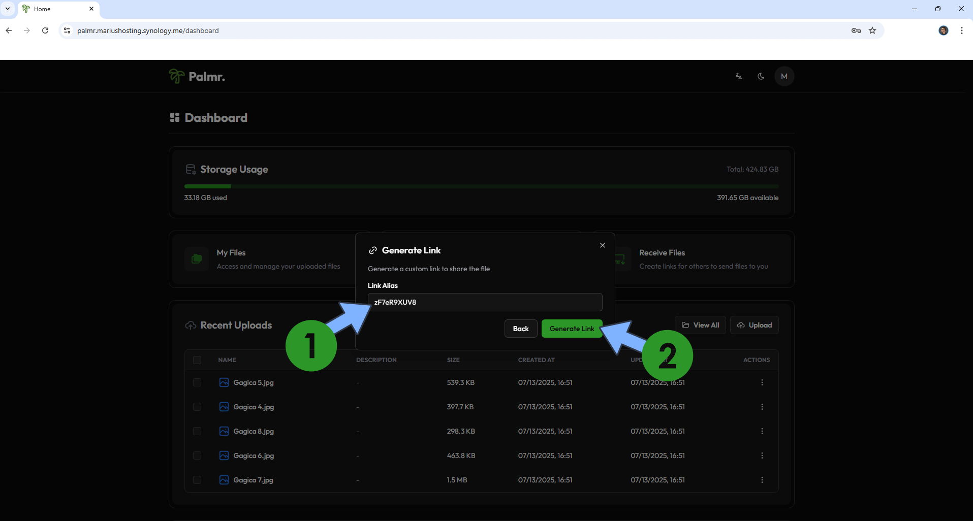 Palmr Synology NAS Set up 18 new 2026