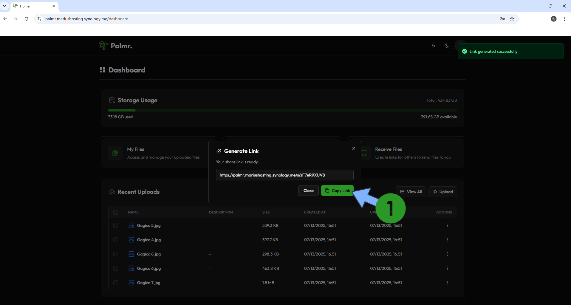 Palmr Synology NAS Set up 19 new 2026