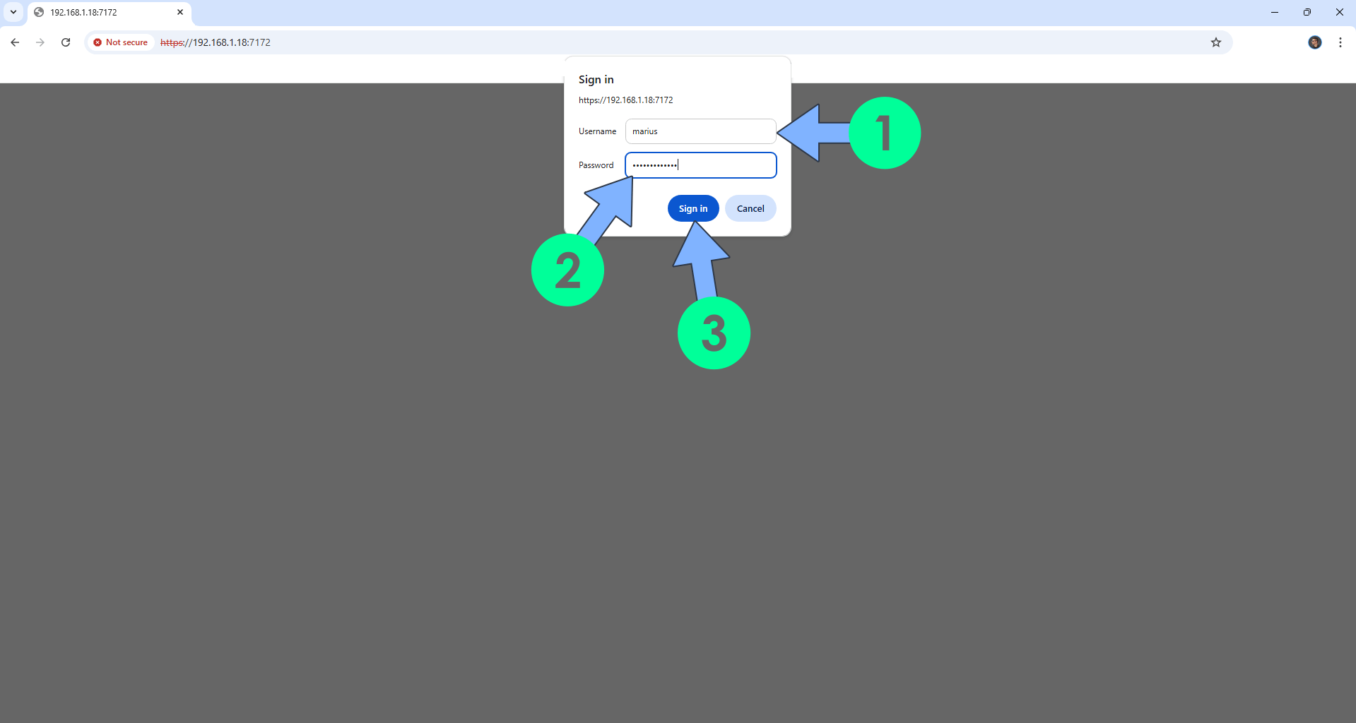 FileZilla Synology NAS Set up Portainer 7