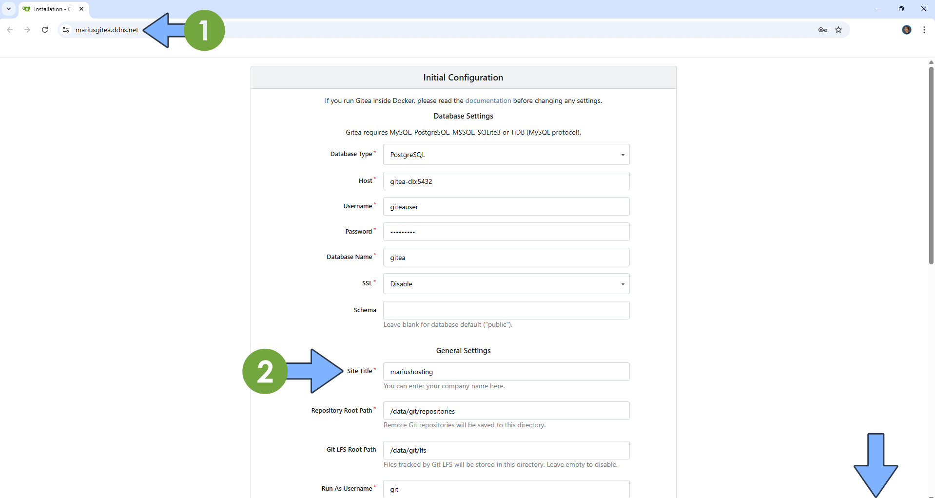 Gitea UGREEN NAS Set up 10