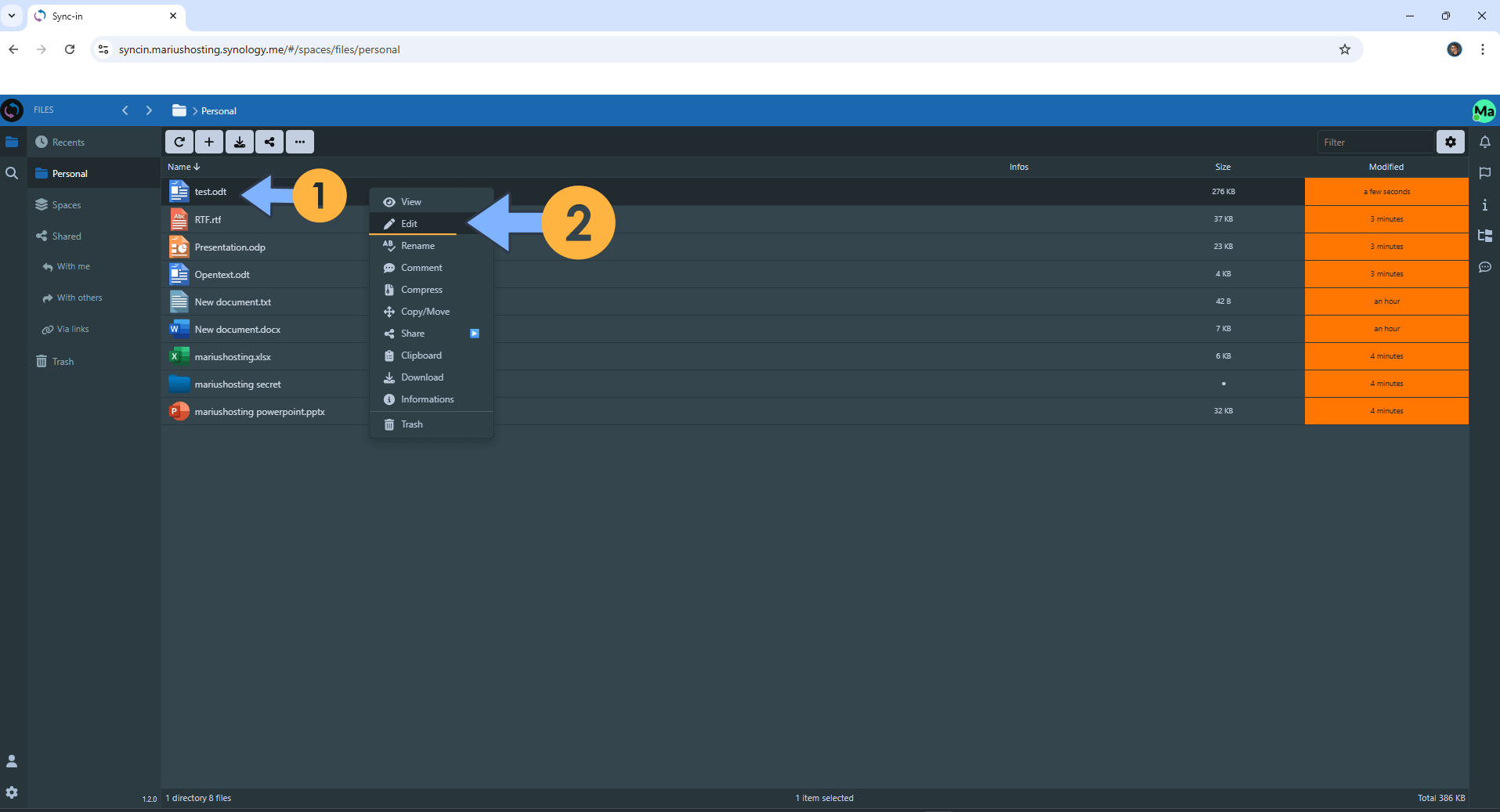 Sync-in Synology NAS Set up 25