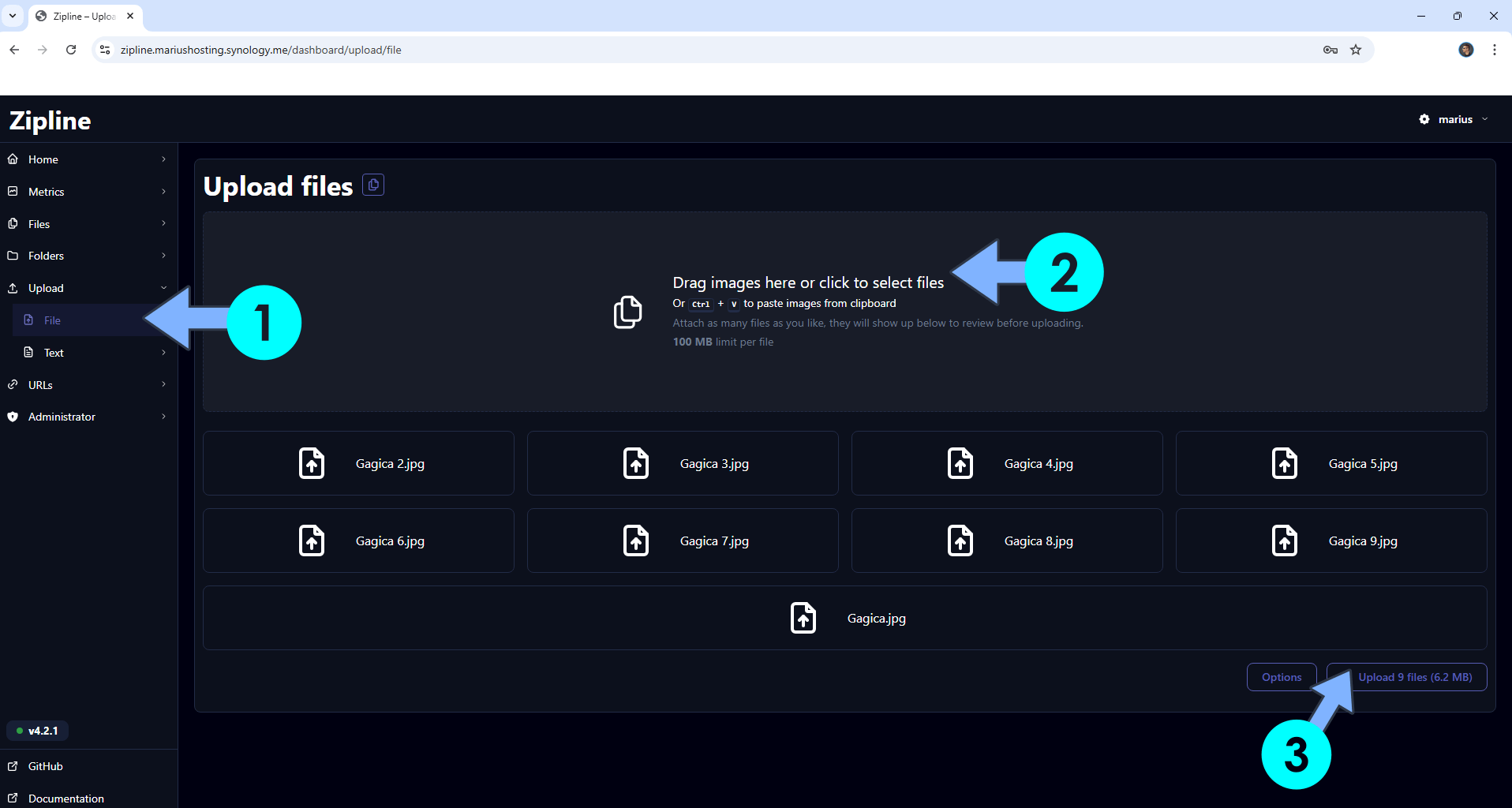 Zipline Synology NAS Set up 15