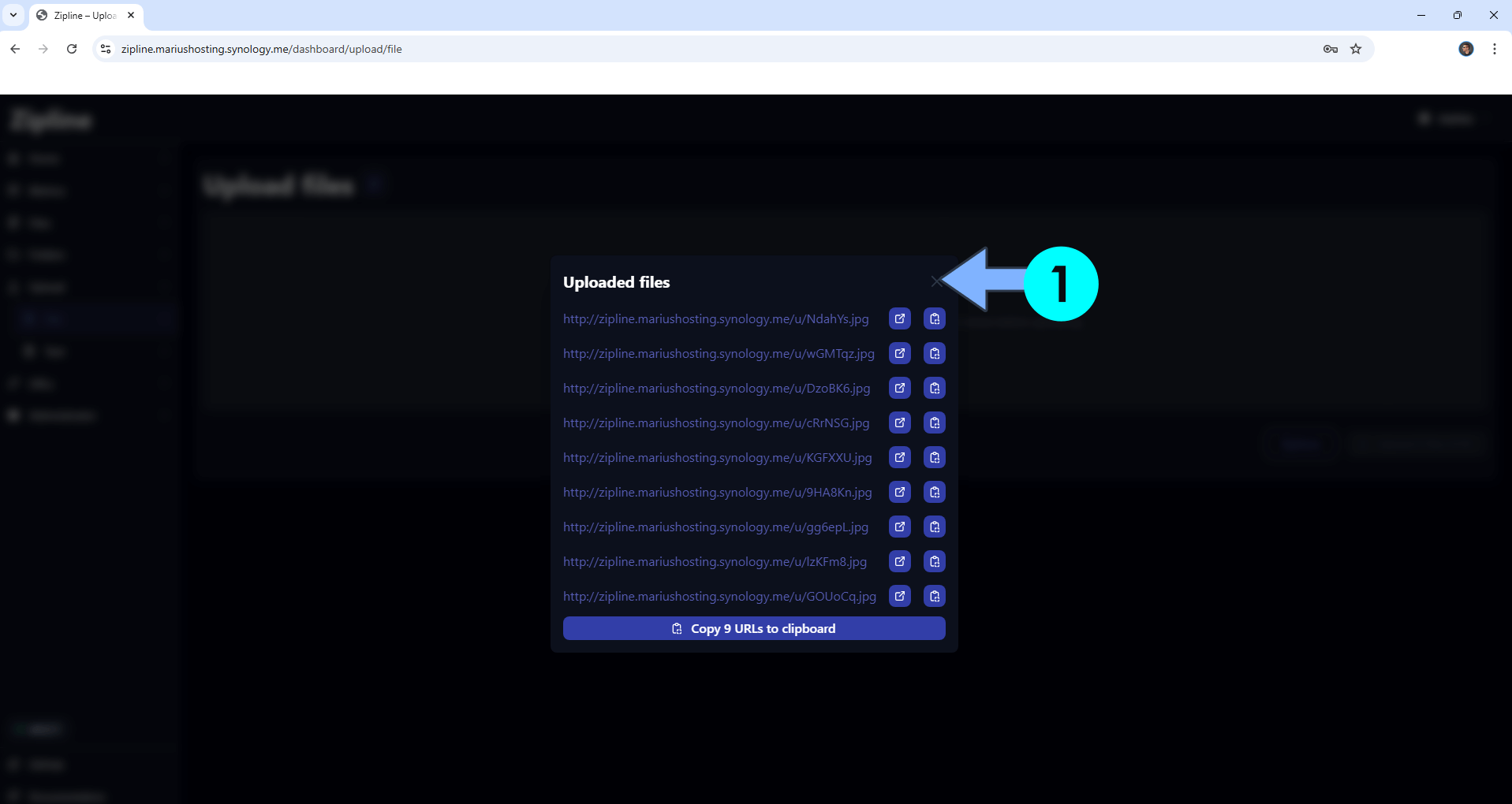 Zipline Synology NAS Set up 16