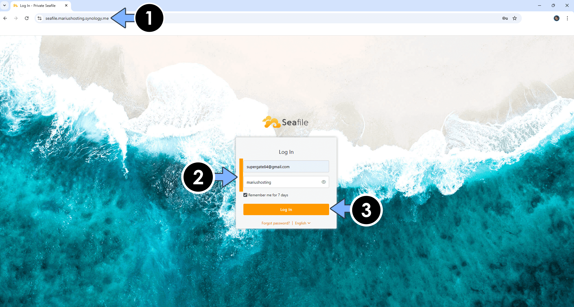 Seafile 13 Synology NAS Set up 10