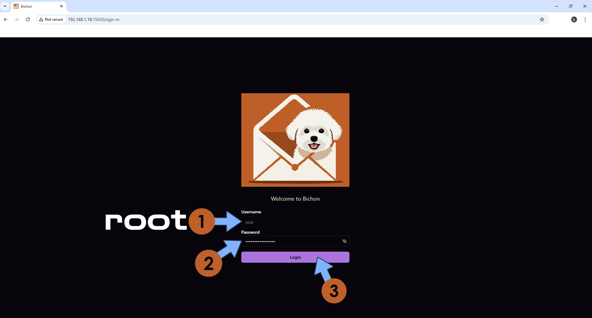 Bichon UGREEN NAS Set up 7