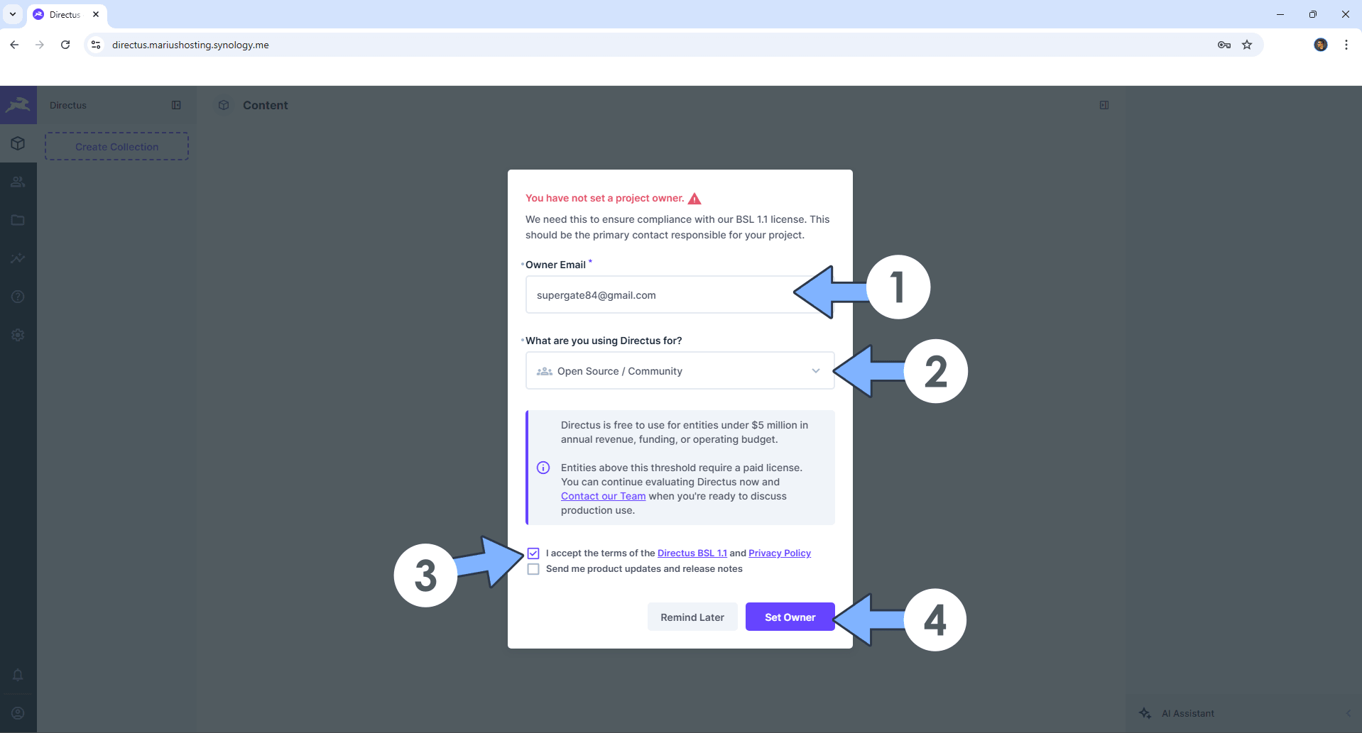 Directus Synology NAS Set up 15 new 2027