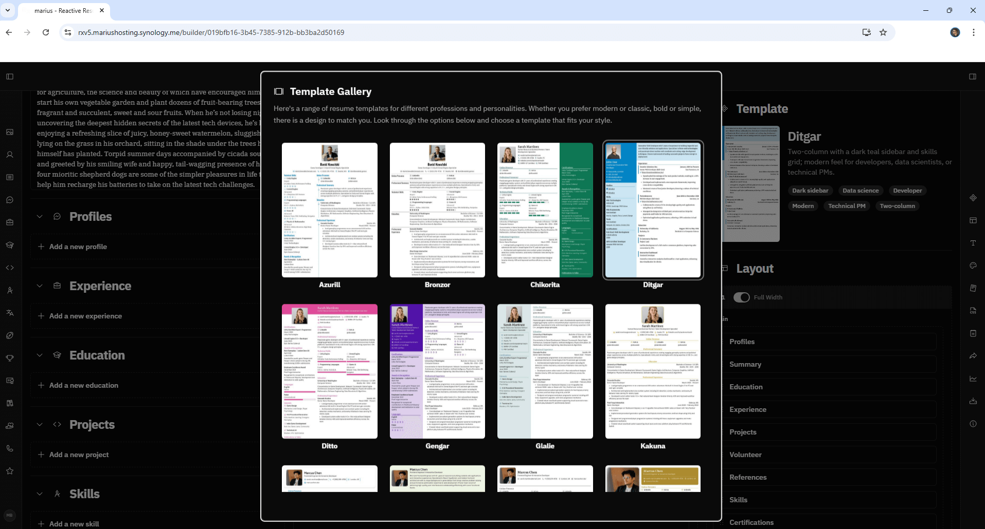 Reactive Resume V5 Synology NAS Set up 19