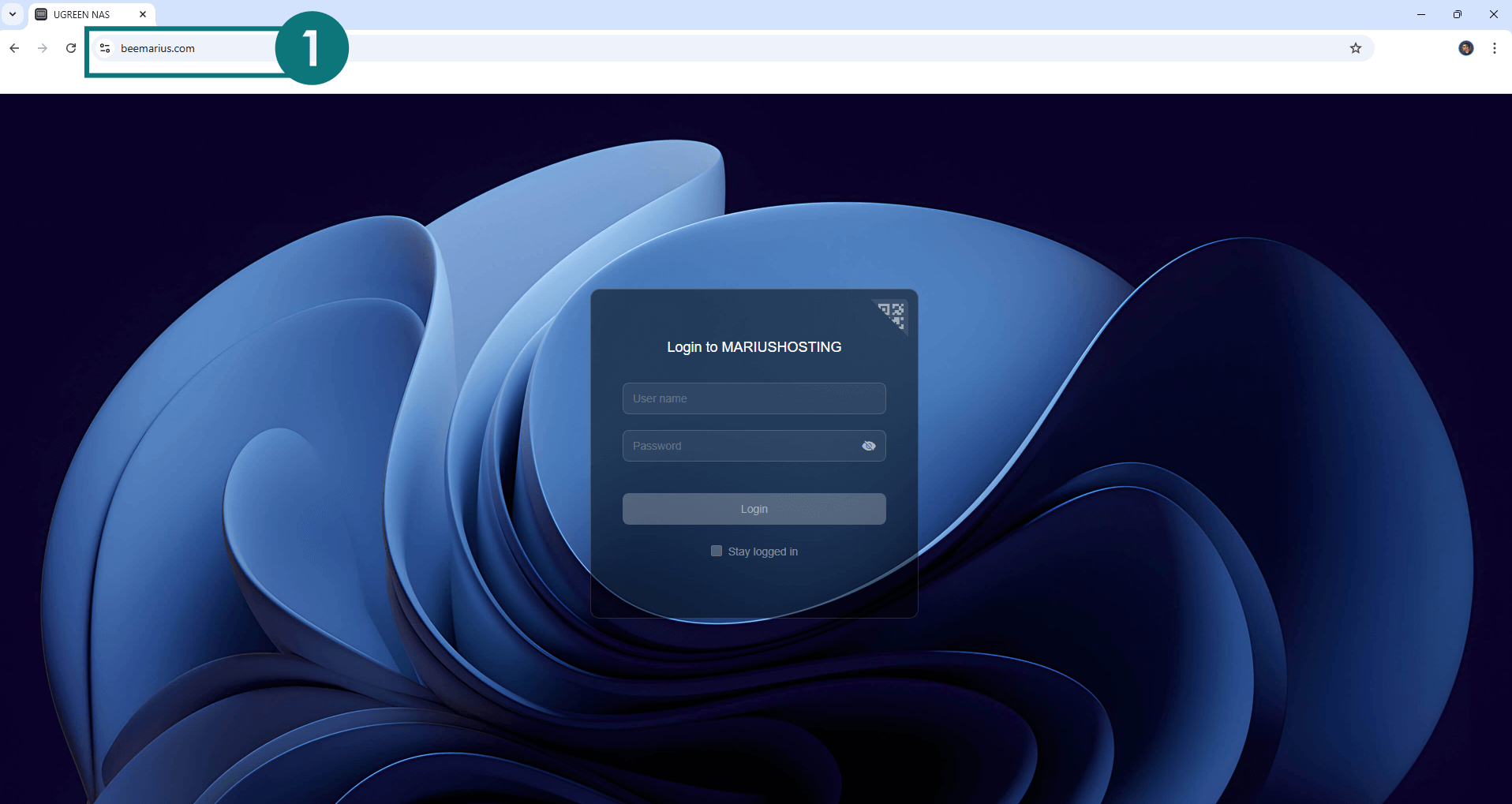 Set up Your Own Domain Name on UGREEN NAS 13