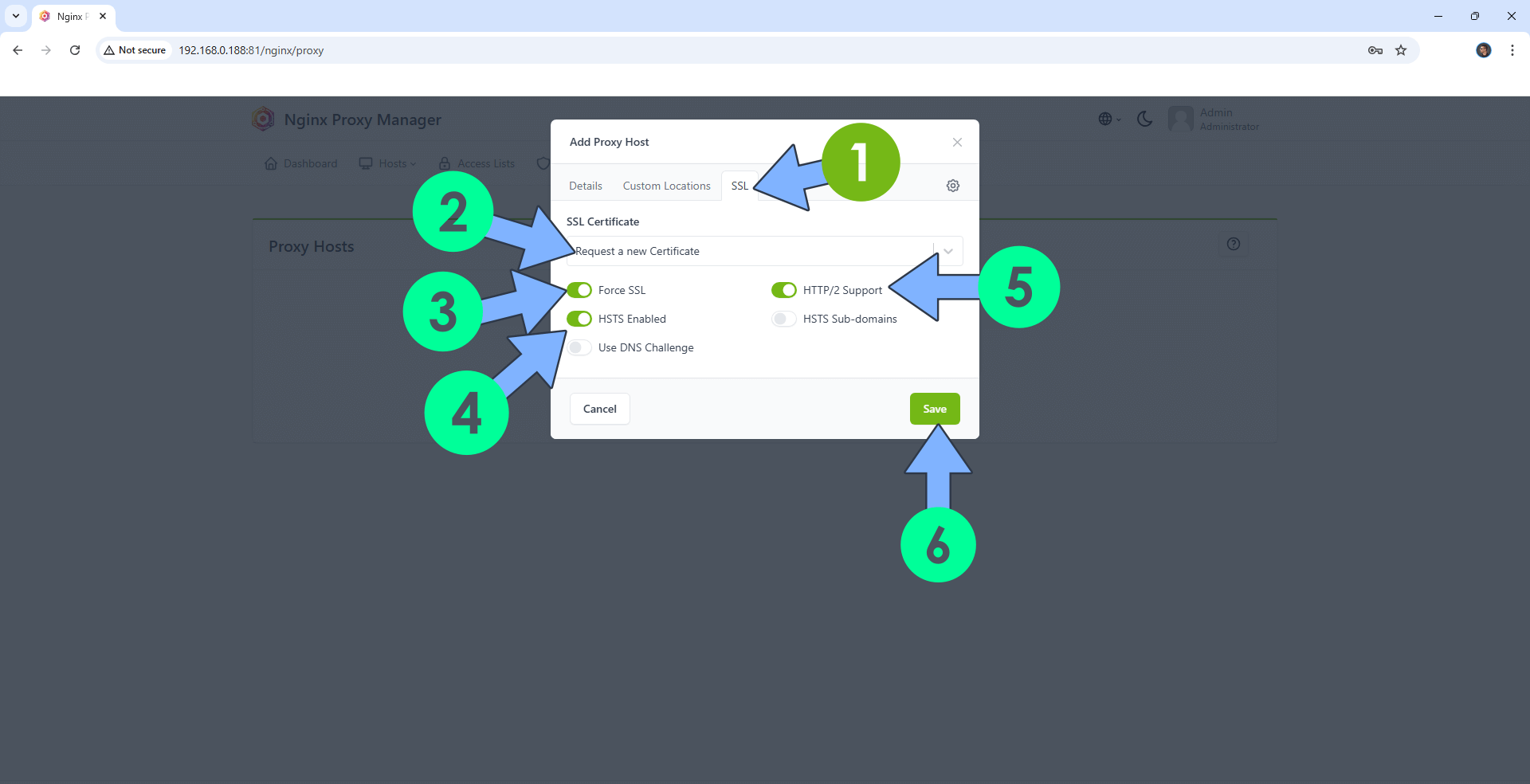 Set up Your Own Domain Name on UGREEN NAS 18