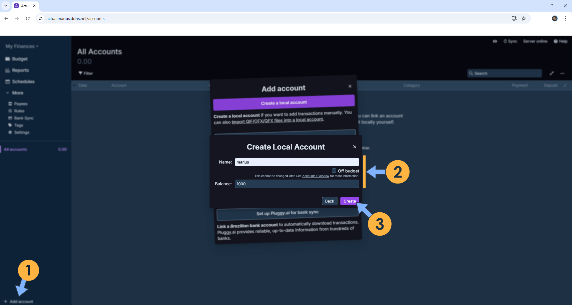 Actual Budget UGREEN NAS Set up 13