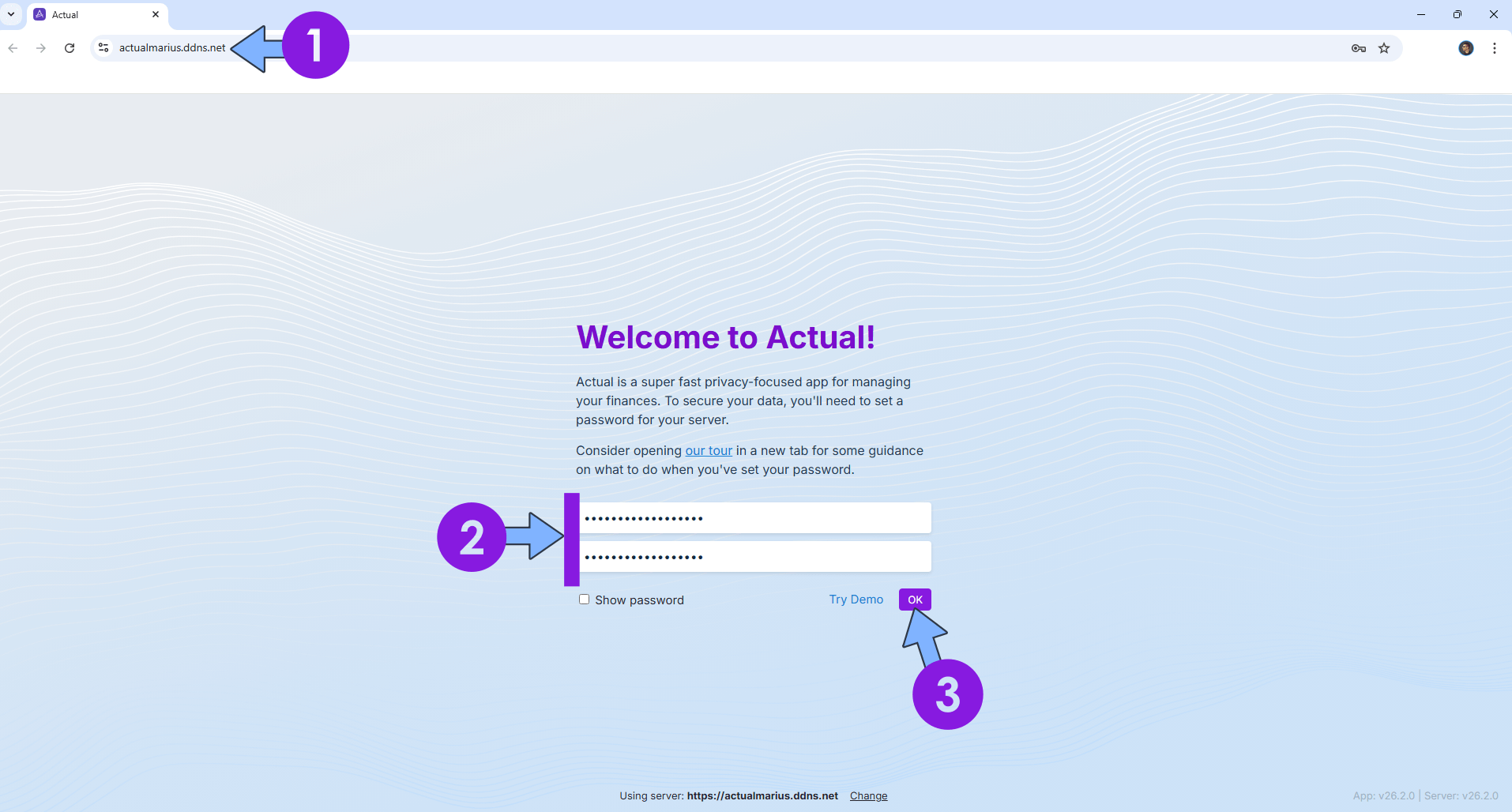 Actual Budget UGREEN NAS Set up 8