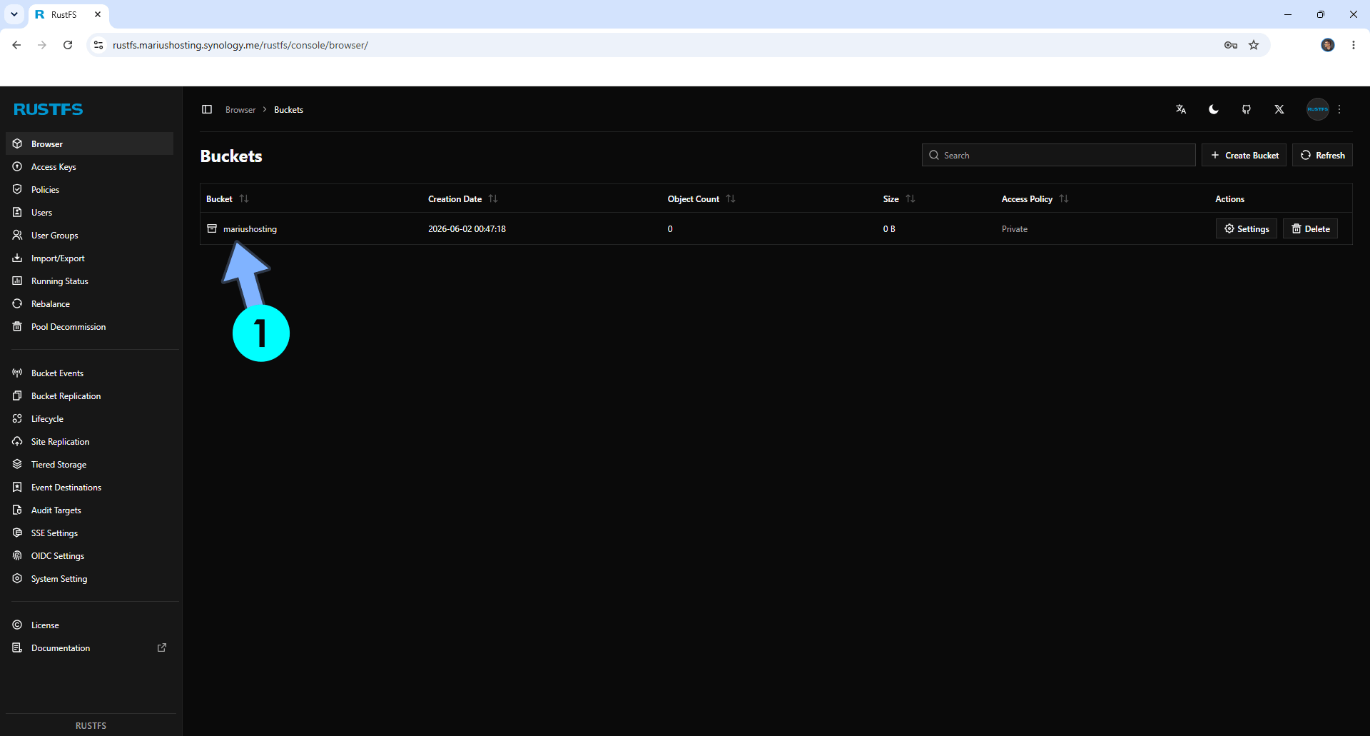 RustFS Synology NAS Set up 13 new 2027