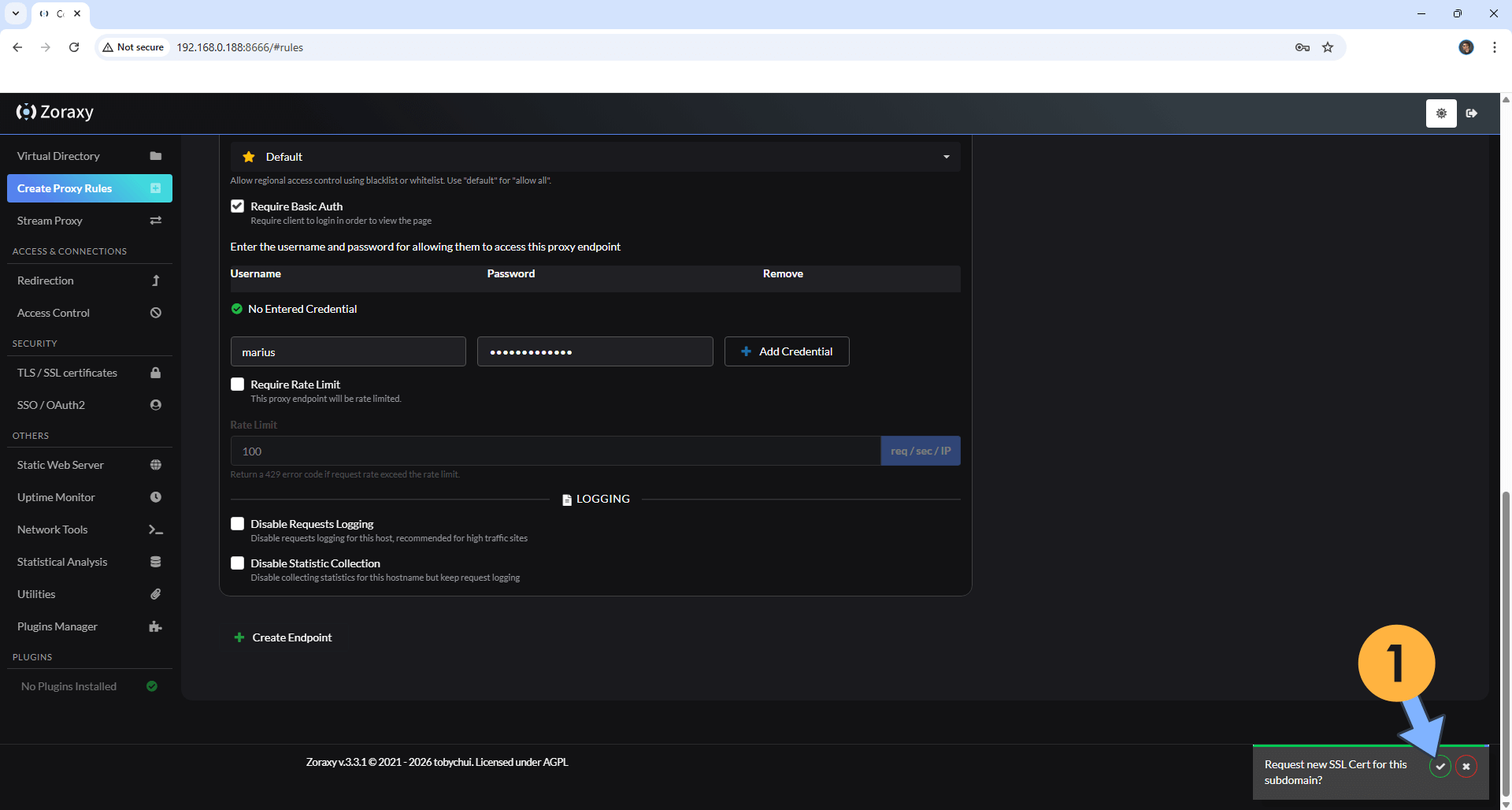 Zoraxy UGREEN NAS Set up 10