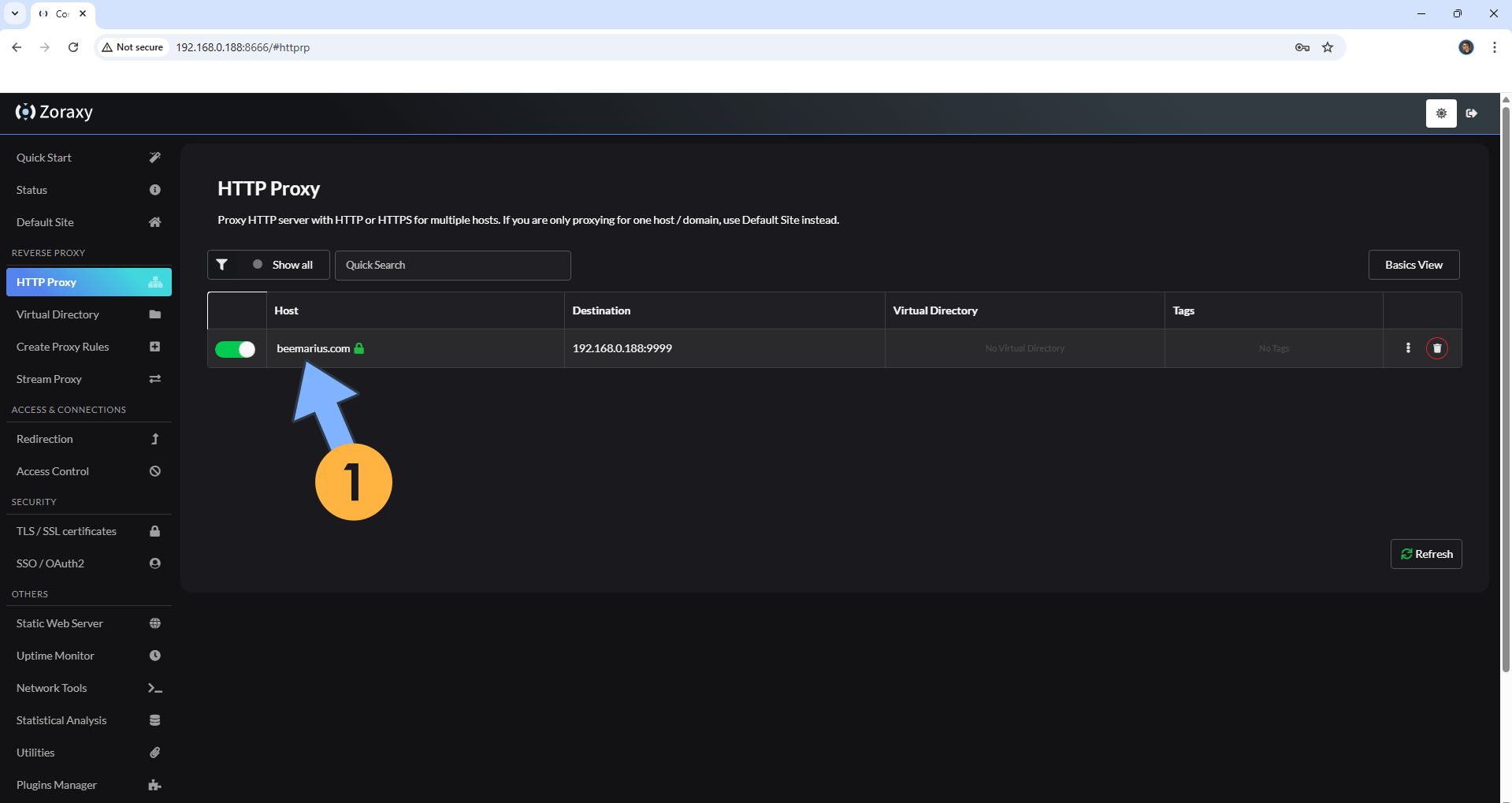 Zoraxy UGREEN NAS Set up 11