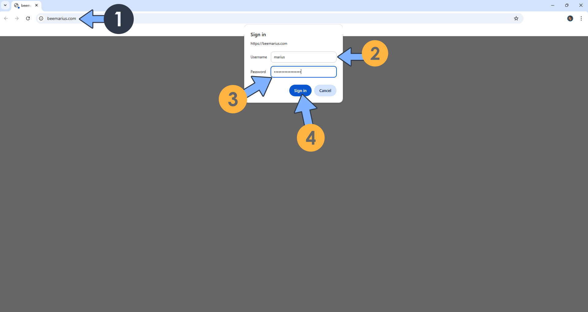 Zoraxy UGREEN NAS Set up 12
